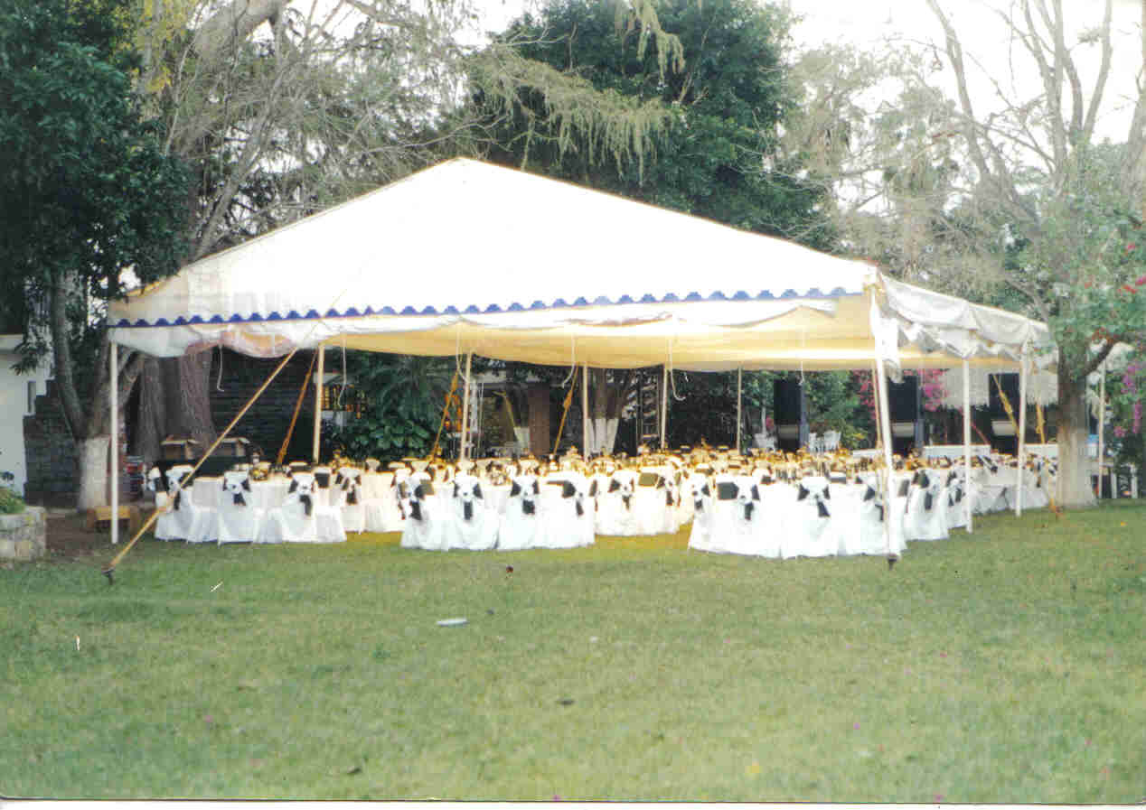 <span style="font-weight: bold;">Renta de carpas&nbsp;</span><br>